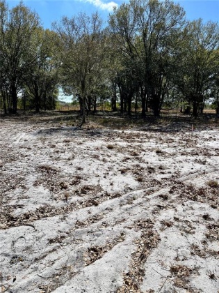 855 KEEN ROAD, FROSTPROOF, Florida 33843, ,Land,For Sale,KEEN,S5062468