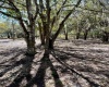 855 KEEN ROAD, FROSTPROOF, Florida 33843, ,Land,For Sale,KEEN,S5062468