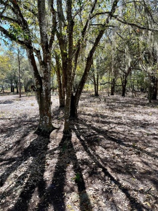 855 KEEN ROAD, FROSTPROOF, Florida 33843, ,Land,For Sale,KEEN,S5062468
