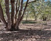 855 KEEN ROAD, FROSTPROOF, Florida 33843, ,Land,For Sale,KEEN,S5062468