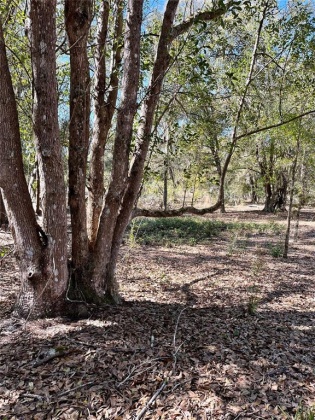855 KEEN ROAD, FROSTPROOF, Florida 33843, ,Land,For Sale,KEEN,S5062468