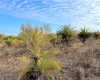 BUFFUM CHURCH ROAD, FORT MEADE, Florida 33841, ,Land,For Sale,BUFFUM CHURCH,L4927875