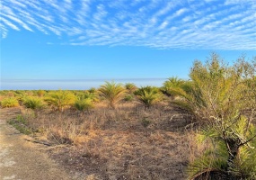 BUFFUM CHURCH ROAD, FORT MEADE, Florida 33841, ,Land,For Sale,BUFFUM CHURCH,L4927875