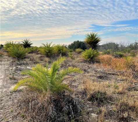 BUFFUM CHURCH ROAD, FORT MEADE, Florida 33841, ,Land,For Sale,BUFFUM CHURCH,L4927875