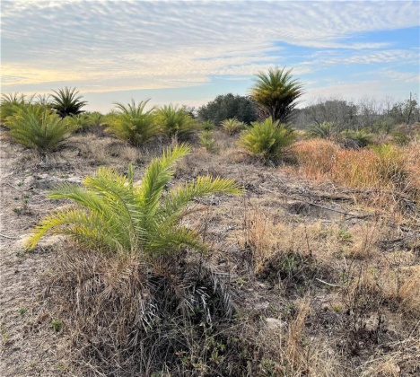 BUFFUM CHURCH ROAD, FORT MEADE, Florida 33841, ,Land,For Sale,BUFFUM CHURCH,L4927875