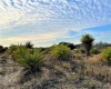 BUFFUM CHURCH ROAD, FORT MEADE, Florida 33841, ,Land,For Sale,BUFFUM CHURCH,L4927875