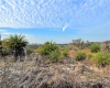 BUFFUM CHURCH ROAD, FORT MEADE, Florida 33841, ,Land,For Sale,BUFFUM CHURCH,L4927875