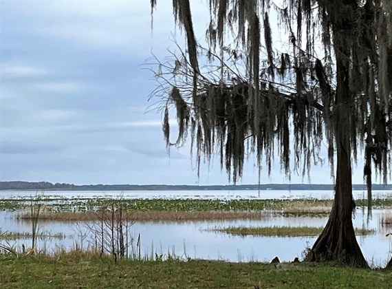 2530 ARBUCKLE SHORES ROAD, FROSTPROOF, Florida 33843, 3 Bedrooms Bedrooms, ,2 BathroomsBathrooms,Residential,For Sale,ARBUCKLE SHORES,P4919327