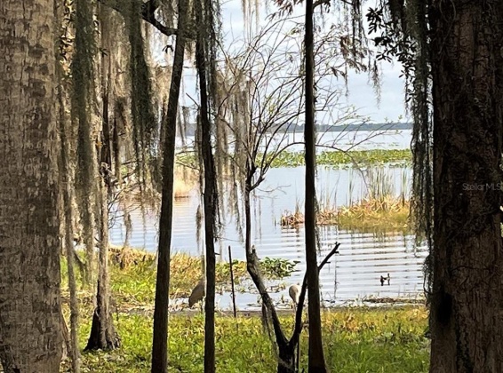 2530 ARBUCKLE SHORES ROAD, FROSTPROOF, Florida 33843, 3 Bedrooms Bedrooms, ,2 BathroomsBathrooms,Residential,For Sale,ARBUCKLE SHORES,P4919327
