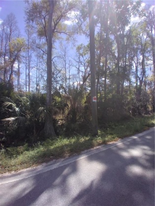 2050 EVANS ROAD, POLK CITY, Florida 33868, ,Land,For Sale,EVANS,S5049170