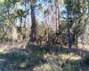 2050 EVANS ROAD, POLK CITY, Florida 33868, ,Land,For Sale,EVANS,S5049170