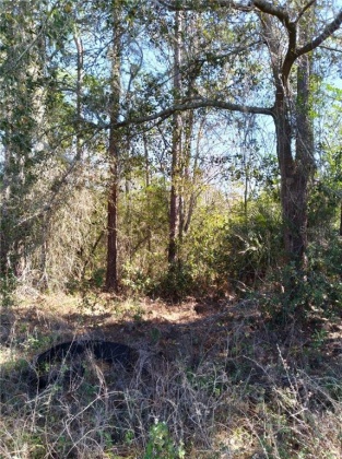 2050 EVANS ROAD, POLK CITY, Florida 33868, ,Land,For Sale,EVANS,S5049170