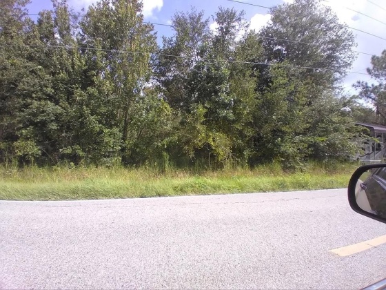 EVANS RD, POLK CITY, Florida 33868, ,Land,For Sale,EVANS RD,S5050975