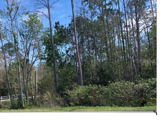 COMMONWEALTH AVENUE, POLK CITY, Florida 33868, ,Land,For Sale,COMMONWEALTH,S5061917