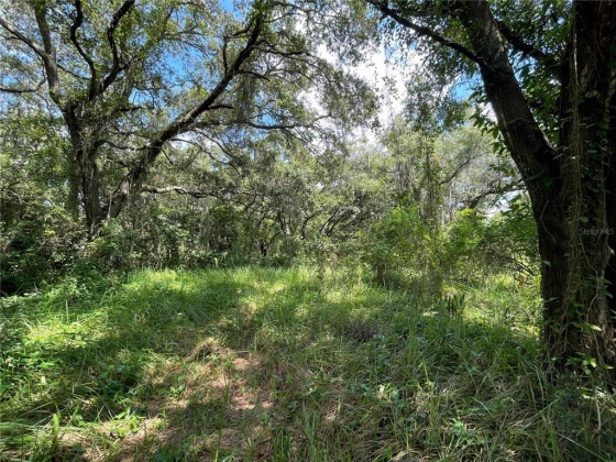 195 KIRKLAND PARK STREET, BRADLEY, Florida 33835, ,Land,For Sale,KIRKLAND PARK,T3354888