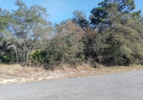 107 WARMOUTH LANE, POINCIANA, Florida 34759, ,Land,For Sale,WARMOUTH,T3354613