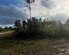 INDIAN LAKE ESTATES, Florida 33855, ,Land,For Sale,O6003363