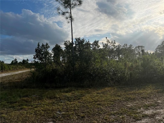 INDIAN LAKE ESTATES, Florida 33855, ,Land,For Sale,O6003363