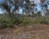 INDIAN LAKE ESTATES, Florida 33855, ,Land,For Sale,O6003363