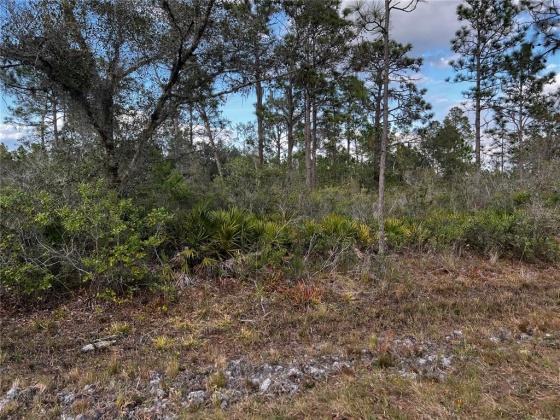 INDIAN LAKE ESTATES, Florida 33855, ,Land,For Sale,O6003363