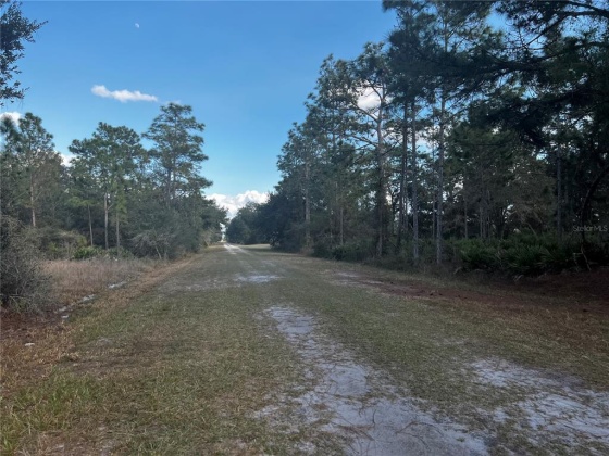 INDIAN LAKE ESTATES, Florida 33855, ,Land,For Sale,O6003363