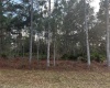 INDIAN LAKE ESTATES, Florida 33855, ,Land,For Sale,O6003363