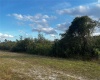 LAKE WALES, Florida 33898, ,Land,For Sale,O6003498