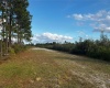 LAKE WALES, Florida 33898, ,Land,For Sale,O6003498