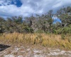 6 ALLAMANDA DRIVE, INDIAN LAKE ESTATES, Florida 33855, ,Land,For Sale,ALLAMANDA,P4919396