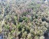 OLD KISSIMMEE ROAD, DAVENPORT, Florida 33896, ,Land,For Sale,OLD KISSIMMEE,P4919340