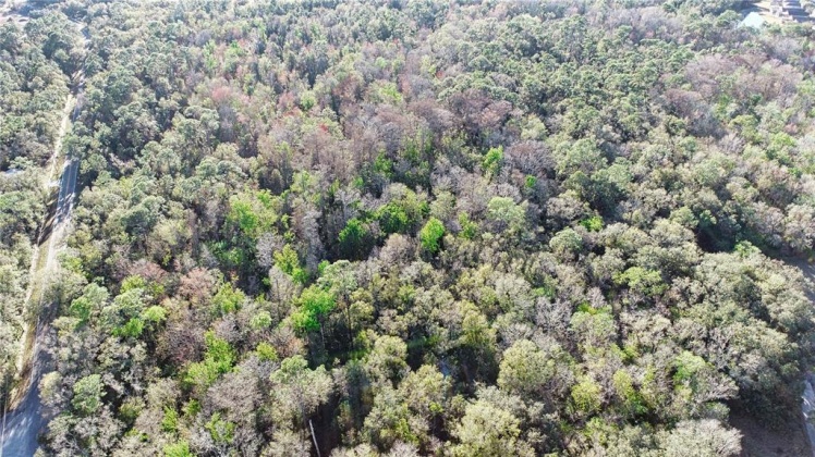 OLD KISSIMMEE ROAD, DAVENPORT, Florida 33896, ,Land,For Sale,OLD KISSIMMEE,P4919340