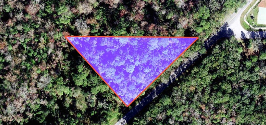OLD KISSIMMEE ROAD, DAVENPORT, Florida 33896, ,Land,For Sale,OLD KISSIMMEE,P4919340
