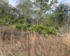 KELLY RIDGE ROAD, FROSTPROOF, Florida 33843, ,Land,For Sale,KELLY RIDGE,P4919112