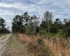 KELLY RIDGE ROAD, FROSTPROOF, Florida 33843, ,Land,For Sale,KELLY RIDGE,P4919112