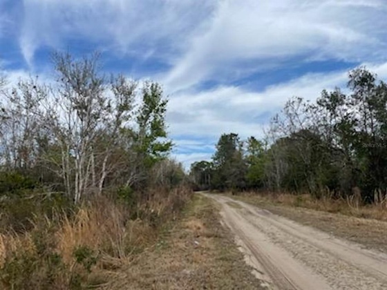 KELLY RIDGE ROAD, FROSTPROOF, Florida 33843, ,Land,For Sale,KELLY RIDGE,P4919112