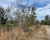 KELLY RIDGE ROAD, FROSTPROOF, Florida 33843, ,Land,For Sale,KELLY RIDGE,P4919112