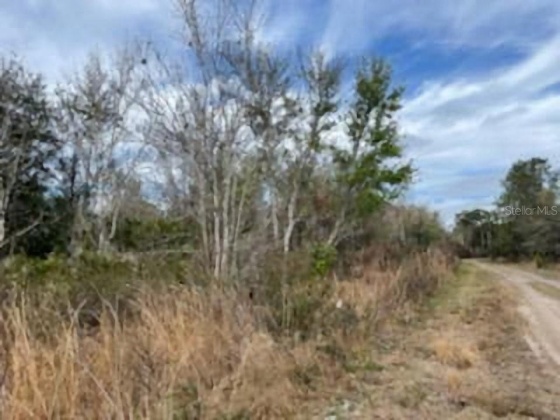 KELLY RIDGE ROAD, FROSTPROOF, Florida 33843, ,Land,For Sale,KELLY RIDGE,P4919112