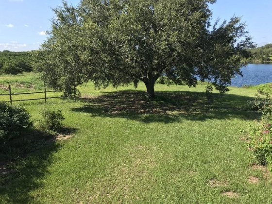 331 EUCALYPTUS ROAD, LAKE WALES, Florida 33898, 2 Bedrooms Bedrooms, ,2 BathroomsBathrooms,Residential,For Sale,EUCALYPTUS,T3355040
