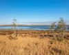 332 CALADIUM AVENUE, LAKE ALFRED, Florida 33850, ,Land,For Sale,CALADIUM,P4919387