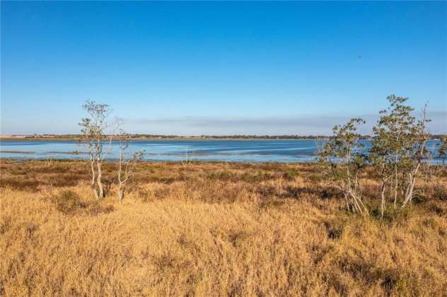 332 CALADIUM AVENUE, LAKE ALFRED, Florida 33850, ,Land,For Sale,CALADIUM,P4919387