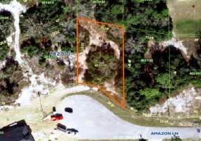 1252 AMAZON LANE, POINCIANA, Florida 34759, ,Land,For Sale,AMAZON,S5062141