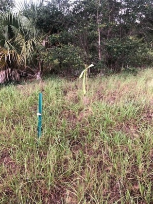 7TH STREET, LAKE WALES, Florida 33853, ,Land,For Sale,7TH,L4928017