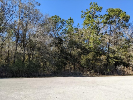 0 PIONEER DRIVE, LAKELAND, Florida 33809, ,Land,For Sale,PIONEER,L4928012