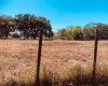 19071 HWY 27, LAKE WALES, Florida 33853, ,Land,For Sale,HWY 27,O6003973