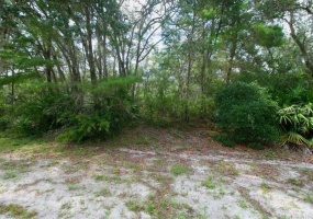 14 ALBA DRIVE, INDIAN LAKE ESTATES, Florida 33855, ,Land,For Sale,ALBA,O6004384