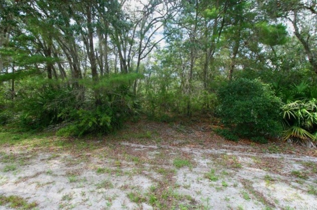 14 ALBA DRIVE, INDIAN LAKE ESTATES, Florida 33855, ,Land,For Sale,ALBA,O6004384