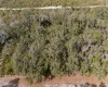 18 ALBA DRIVE, INDIAN LAKE ESTATES, Florida 33855, ,Land,For Sale,ALBA,O6004419