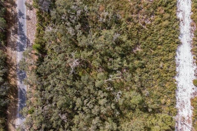 18 ALBA DRIVE, INDIAN LAKE ESTATES, Florida 33855, ,Land,For Sale,ALBA,O6004419