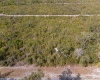 18 ALBA DRIVE, INDIAN LAKE ESTATES, Florida 33855, ,Land,For Sale,ALBA,O6004419