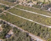 18 ALBA DRIVE, INDIAN LAKE ESTATES, Florida 33855, ,Land,For Sale,ALBA,O6004419